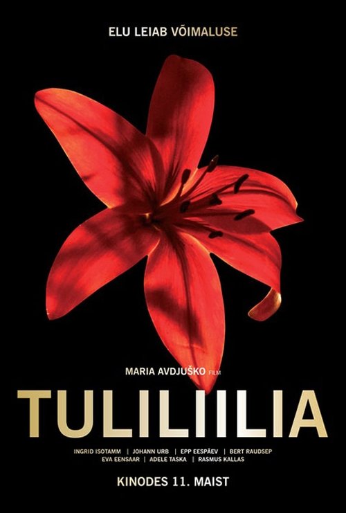 Movie poster for Fire Lily (2018)