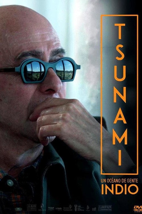 Movie poster for Tsunami, un océano de gente (2016)