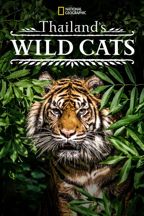 Movie poster for Thailand's Wild Cats (2021)