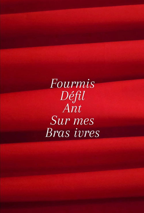 Movie poster for Fourmis défilant sur mes bras ivres.