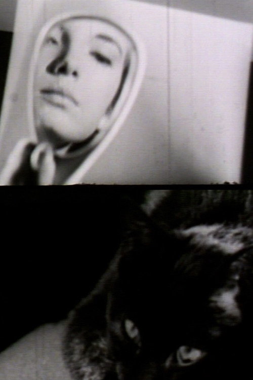 Movie poster for Lettere (1965)