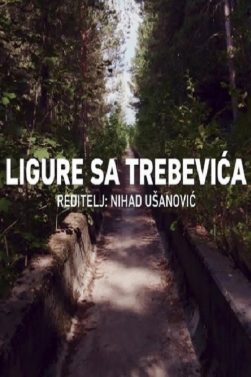 Movie poster for Bobsleigh in Trebevic (2024)