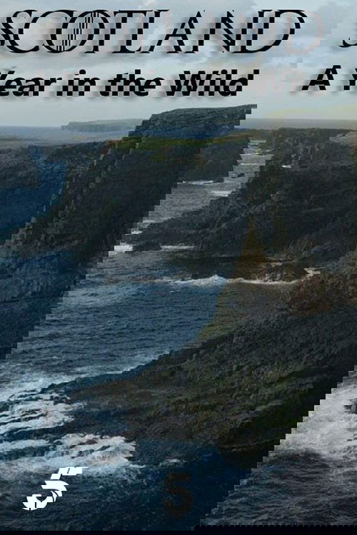 Scotland: A Year In The Wild poster