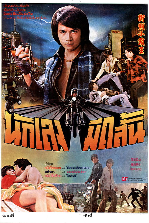 Movie poster for Golden Fists of a Duo (1981)