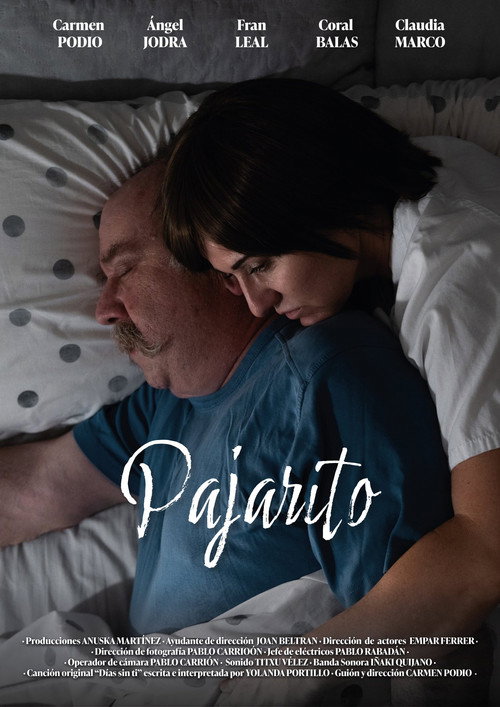 Movie poster for Pajarito (2025)