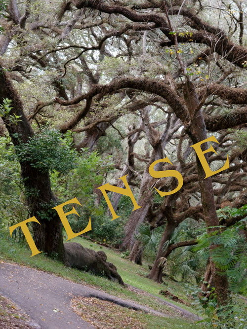 Movie poster for Tense (2024)