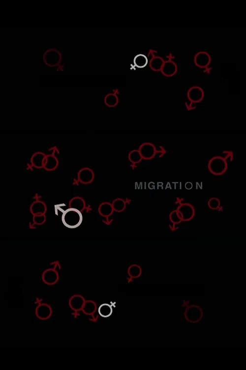 Movie poster for Migration (2008)
