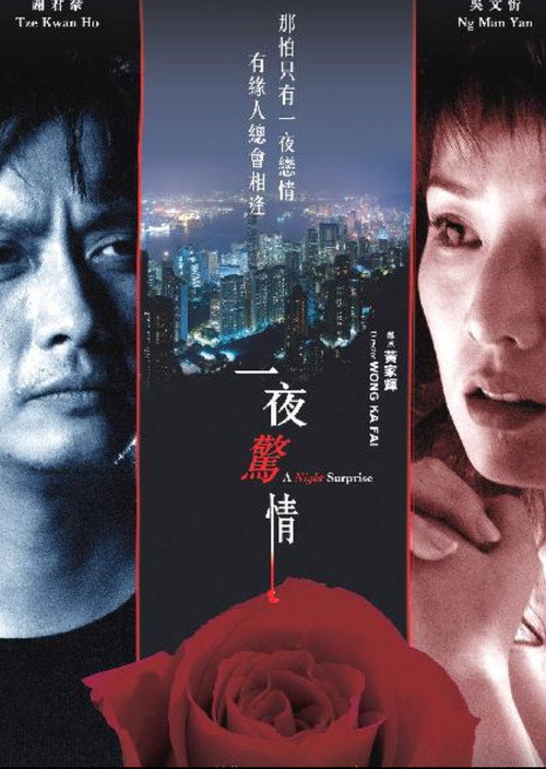 Movie poster for A Night Surprise (2007)
