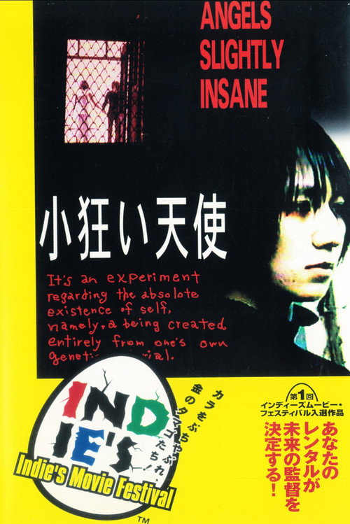Movie poster for Angels Slightly Insane (1994)