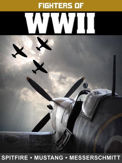 Movie poster for Fighters of WWII: Spitfire, Mustang, and Messerschmitt (2017)