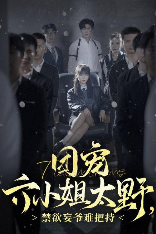 团宠六小姐太野，禁欲妄爷难把持 poster
