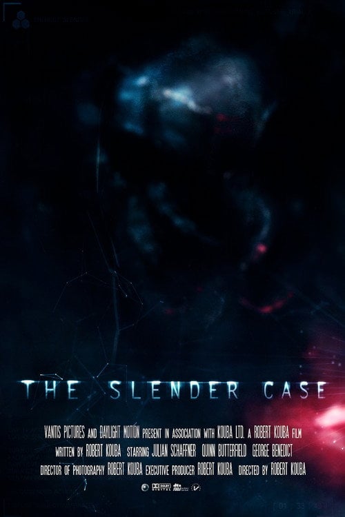 Movie poster for The Slender Case (2013)