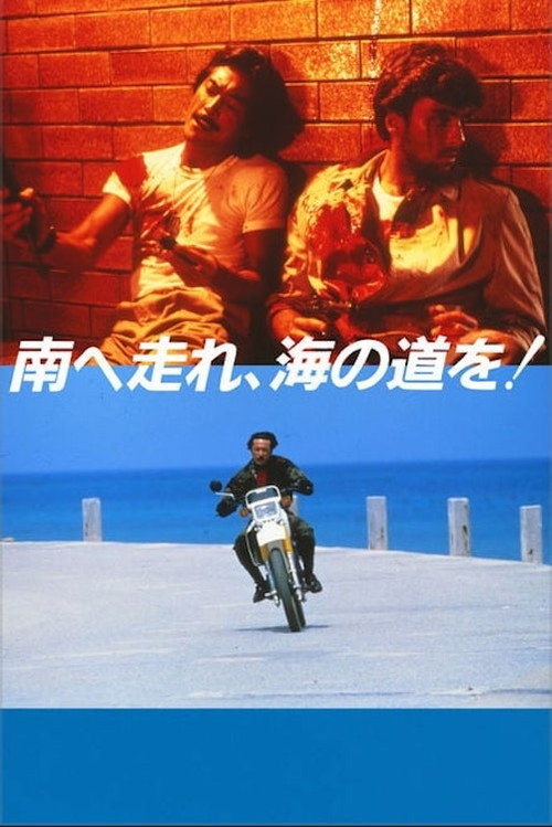 Movie poster for South to the Horizon (1986)