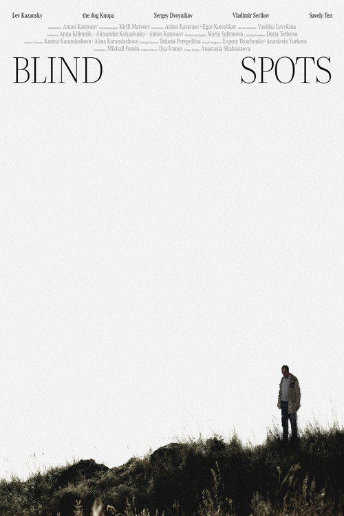 Blind Spots poster
