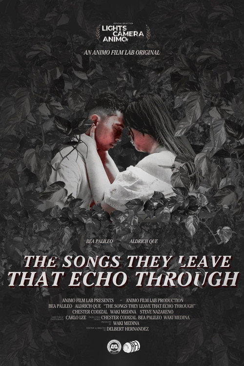 Movie poster for the songs they leave that echo through