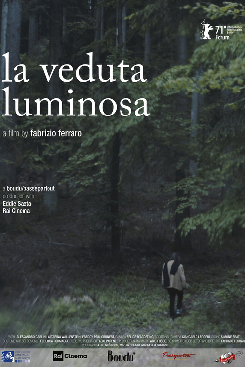 Movie poster for The Luminous View (2021)