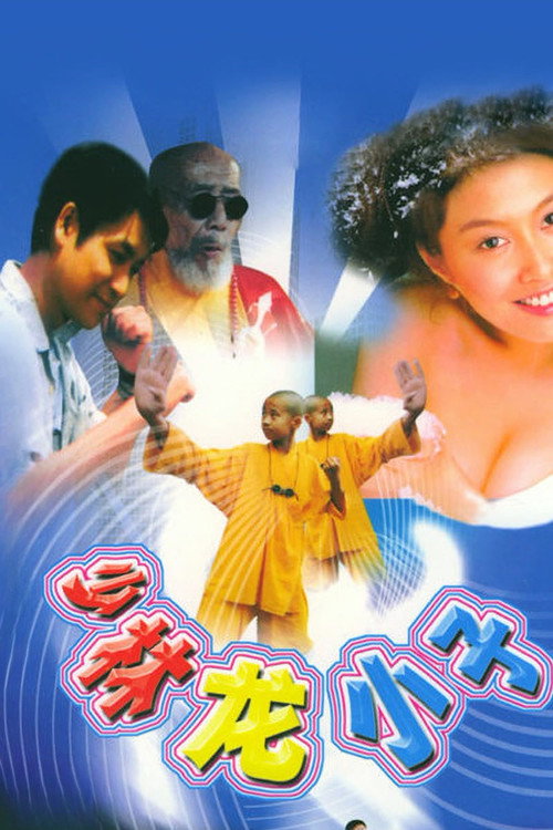 Movie poster for 少林龙小子 (1995)
