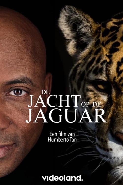 Movie poster for De Jacht op de Jaguar
