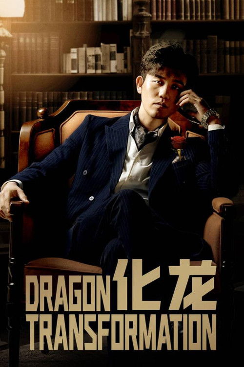 化龙 poster