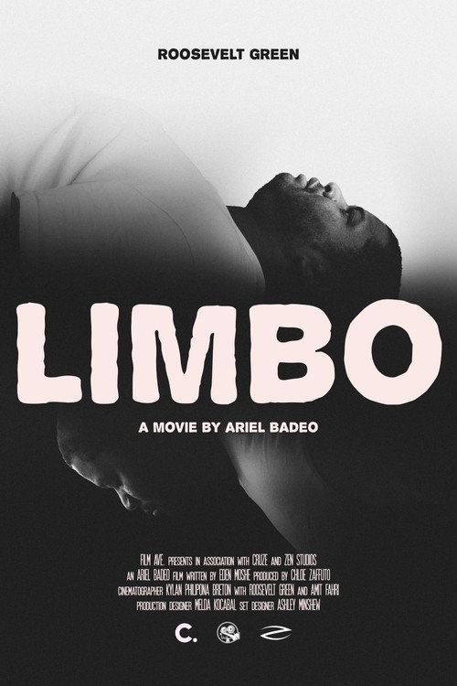 Movie poster for LIMBO (2024)