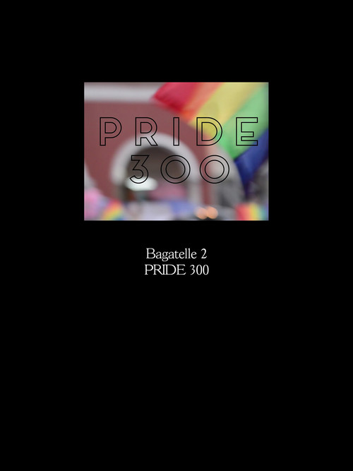 Movie poster for Bagatelle 2: PRIDE 300 (2018)