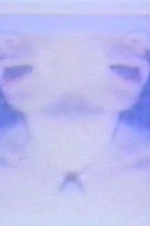 Movie poster for The Heavens (1977)
