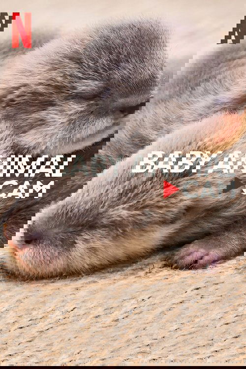 Series poster for Baby Animal Cam (2023)