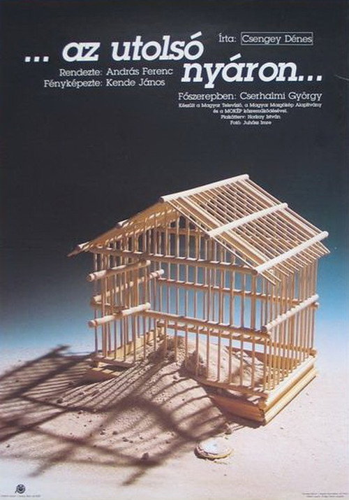 Movie poster for The Last Summer (1991)