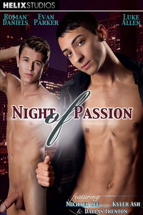 Movie poster for Night of Passion (2013)