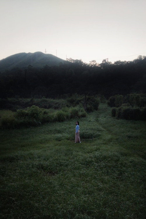 Movie poster for HABITAT (2019)