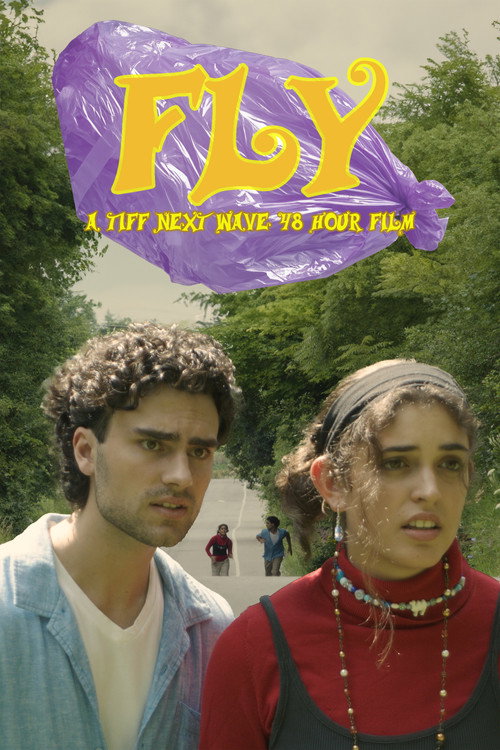 Movie poster for Fly (2024)