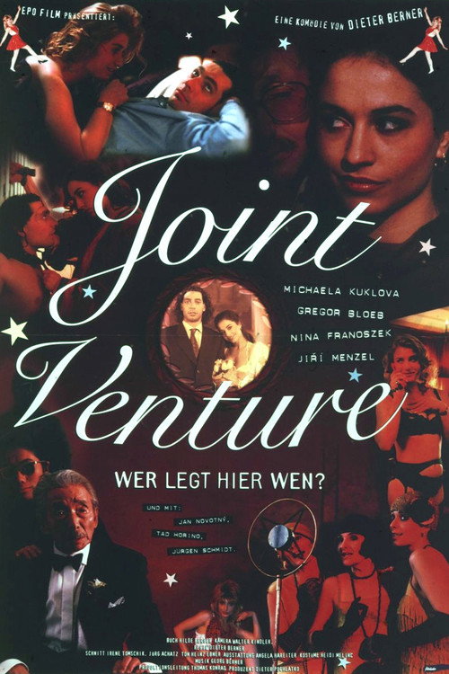 Movie poster for Joint Venture (1995)