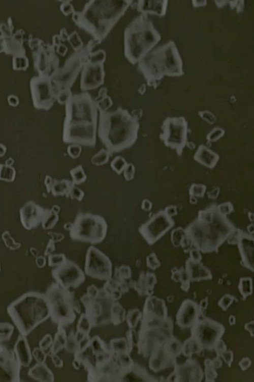 Movie poster for Foodfilms (2010)