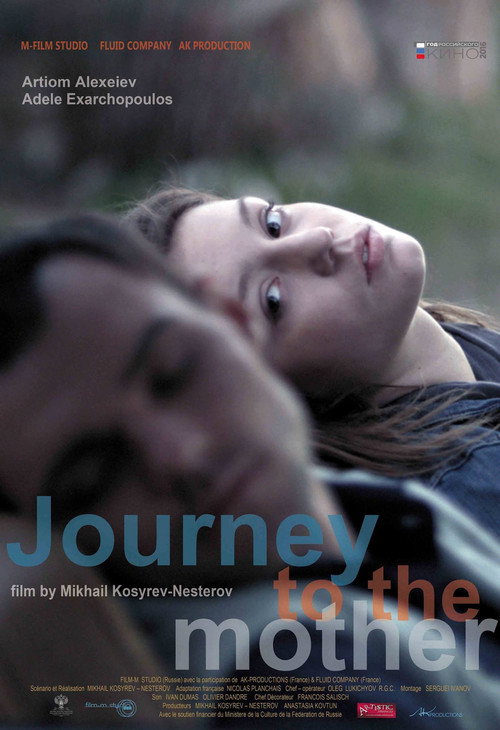 Movie poster for Journey to the Mother (2014)