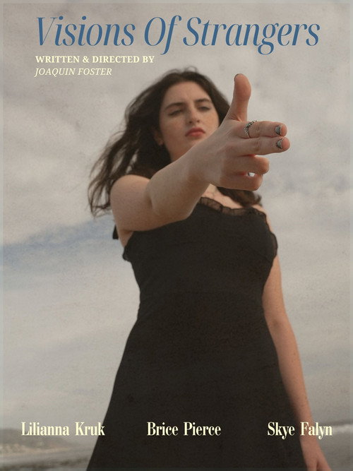 Movie poster for Visions Of Strangers (2025)