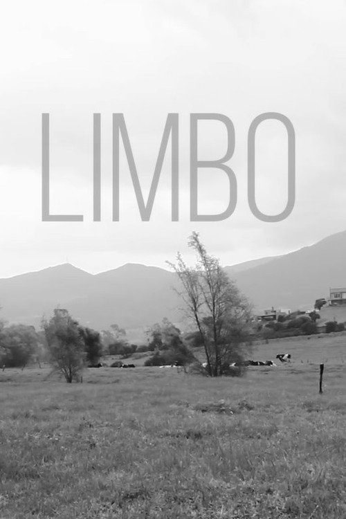 Movie poster for LIMBO