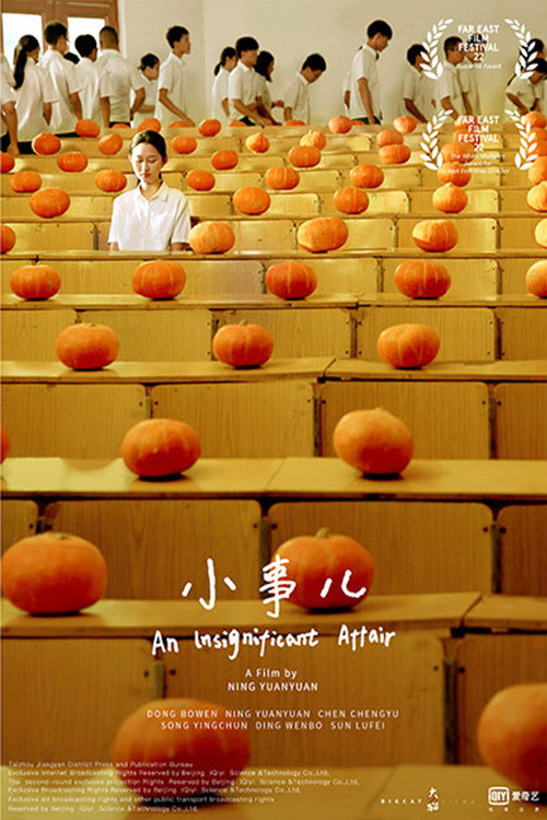 Movie poster for An Insignificant Affair (2020)