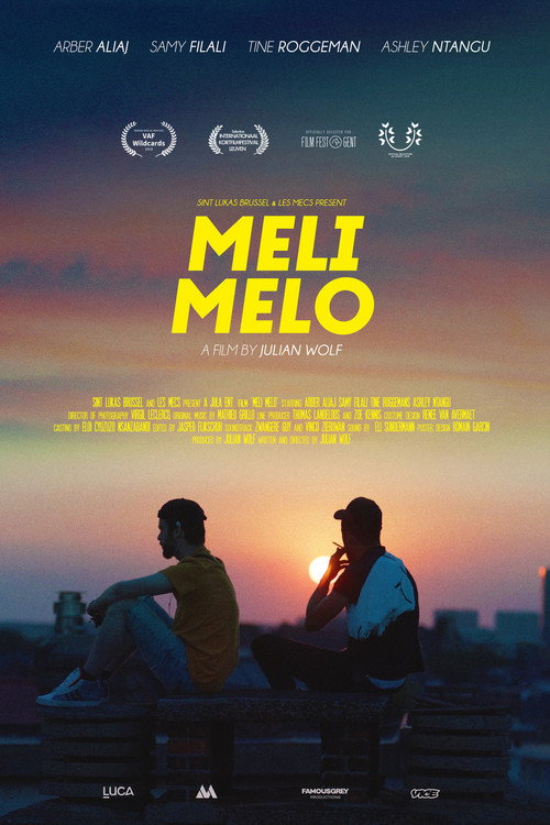 Movie poster for Meli Melo (2018)
