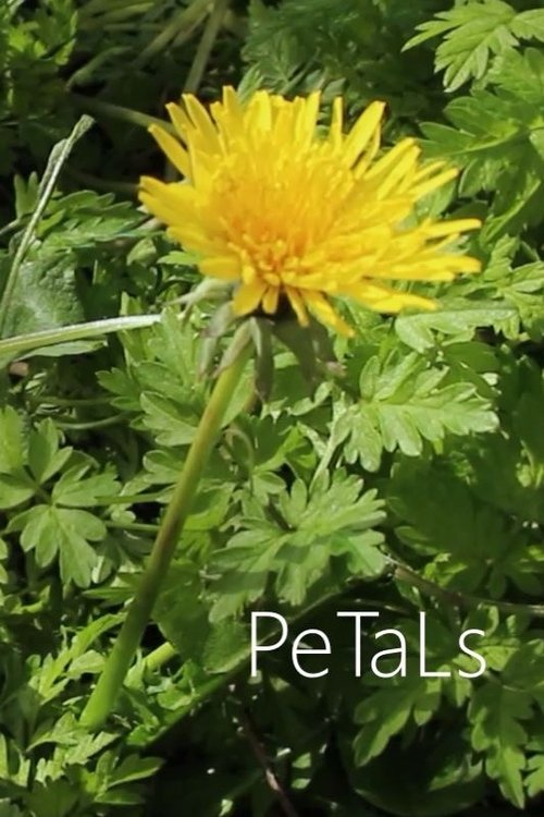 PeTaLs poster