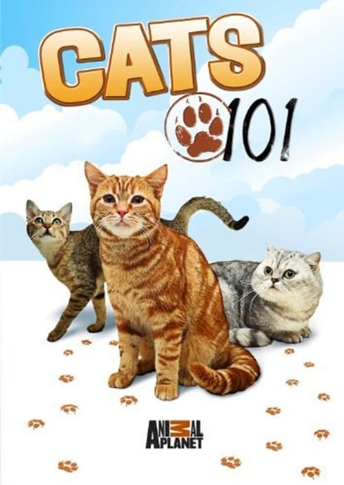 Series poster for Cats 101 (2008)