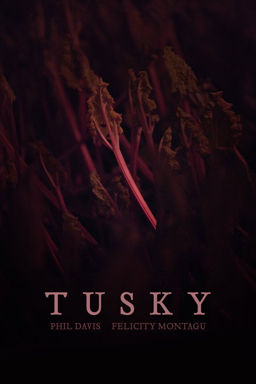 Movie poster for TUSKY (2024)