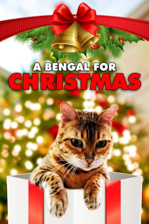 Movie poster for A Bengal for Christmas (2023)