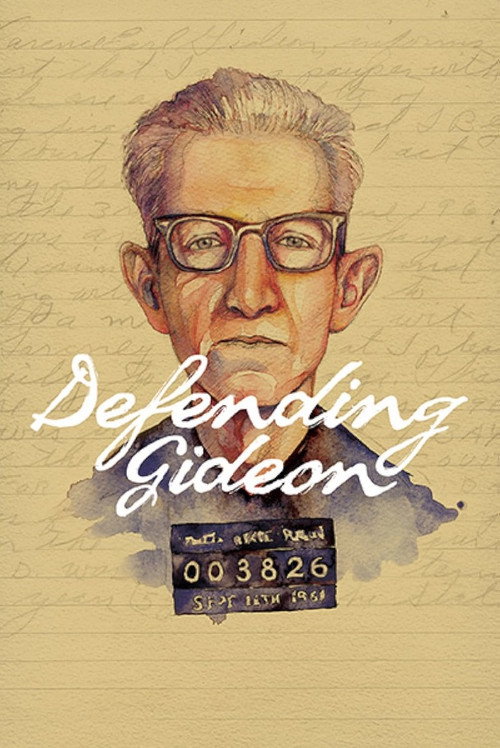 Movie poster for Defending Gideon (2013)