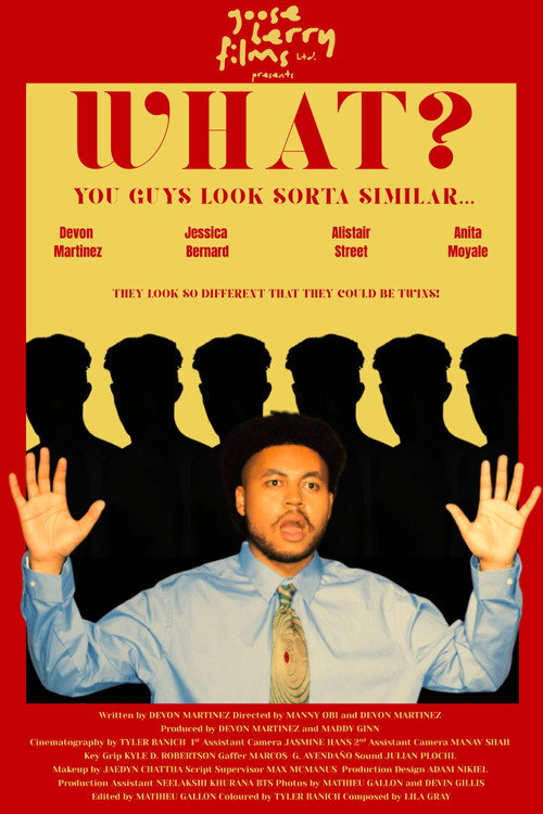 Movie poster for What? You Guys Look Sorta Similar…