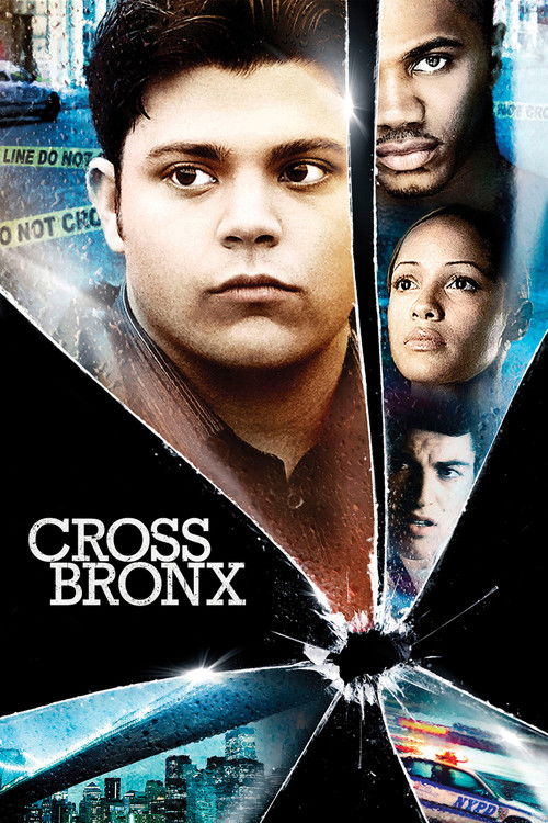 Movie poster for Cross Bronx (2004)