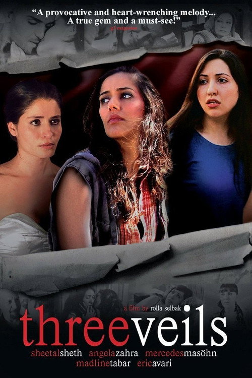Movie poster for Three Veils (2011)