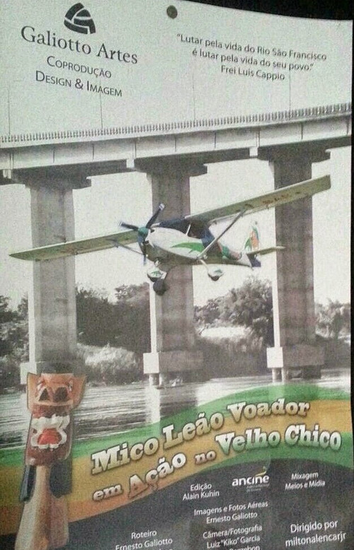 Movie poster for Mico Leão Voador em Ação no Velho Chico (2014)