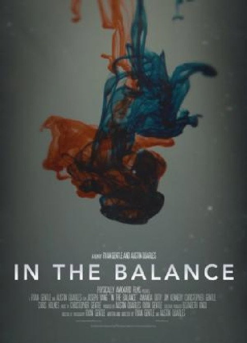 Movie poster for In The Balance
