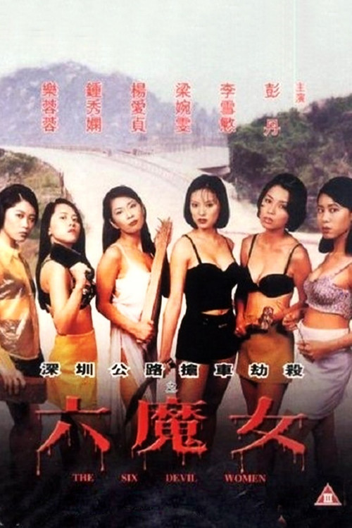 Movie poster for The Six Devil Women (1996)
