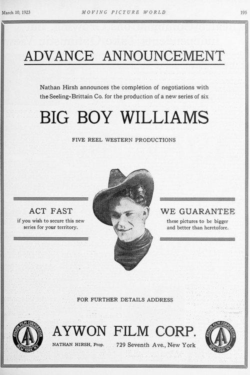 Movie poster for The Avenger (1924)